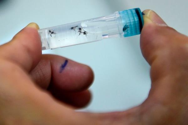 Perak exco says state records increase of 218.1pc in dengue cases, one fatality